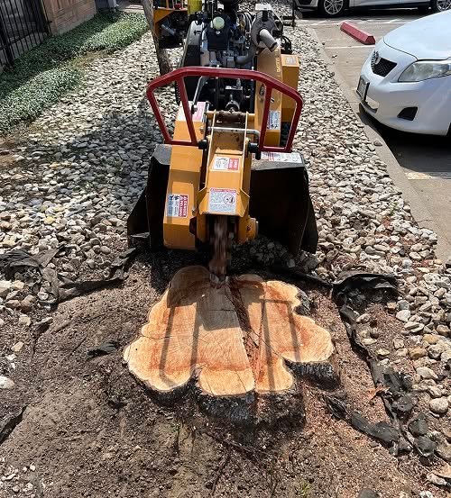 Stump grinder removing a tree stump