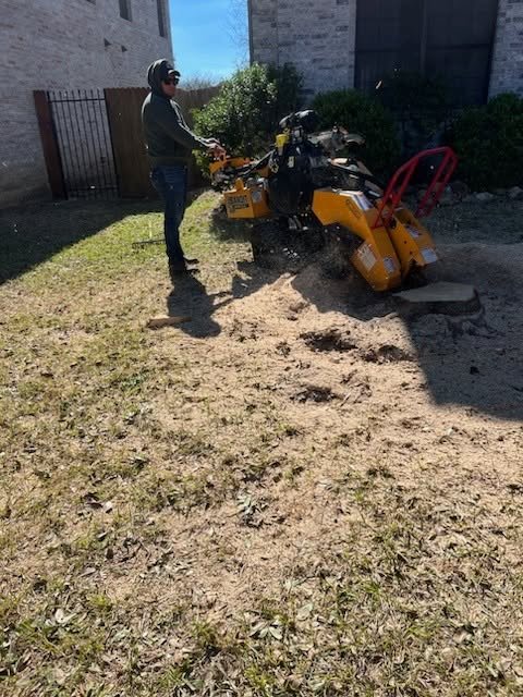 Worker grinding a stump in a backyard